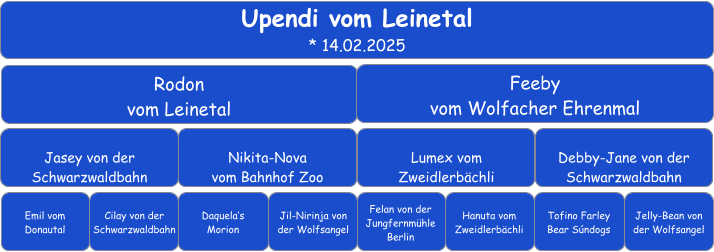 Upendi vom Leinetal * 14.02.2025 Rodon vom Leinetal Feeby  vom Wolfacher Ehrenmal Jasey von der  Schwarzwaldbahn Nikita-Nova vom Bahnhof Zoo Lumex vom Zweidlerbächli Debby-Jane von der Schwarzwaldbahn Emil vom Donautal Cilay von der Schwarzwaldbahn Daquela‘s Morion Jil-Nirinja von der Wolfsangel Felan von der Jungfernmühle Berlin Tofino Farley Bear Súndogs Hanuta vom Zweidlerbächli Jelly-Bean von der Wolfsangel