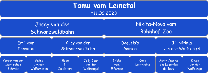 Tamu vom Leinetal *11.06.2023 Jasey von der  Schwarzwaldbahn Nikita-Nova vom Bahnhof-Zoo Emil vom  Donautal Cilay von der Schwarzwaldbahn Daquela‘s Morion Jil-Nirinja von der Wolfsangel Cooper von der  Märkischen Schweiz Galina  von den Wolfswiesen Blade  Il  Cacciatore Jelly-Bean von der  Wolfsangel Brisko  vom  Elfensee Aaron Jacomo  des Legendes  de  Retz Qela Leiionspitz Kimba  von der  Wolfsangel